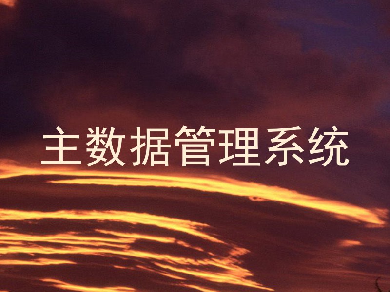 主数据管理系统