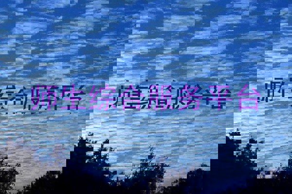 师生综合服务平台