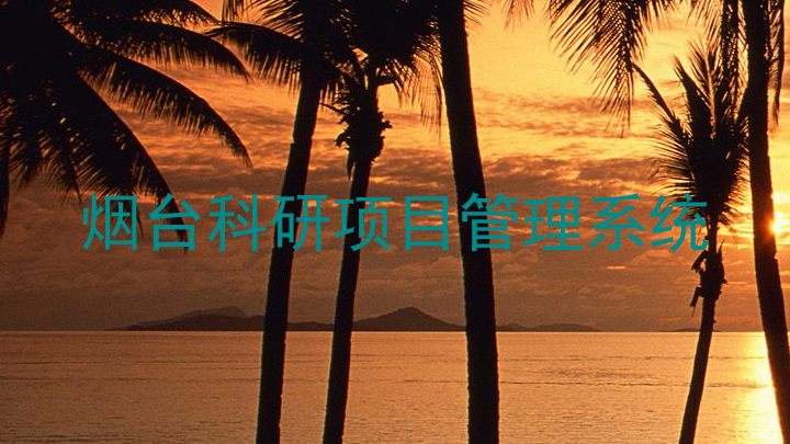 烟台科研项目管理系统