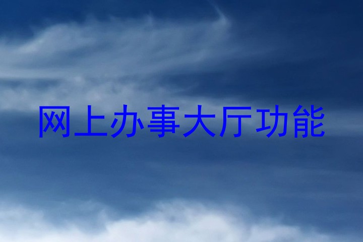 网上办事大厅功能