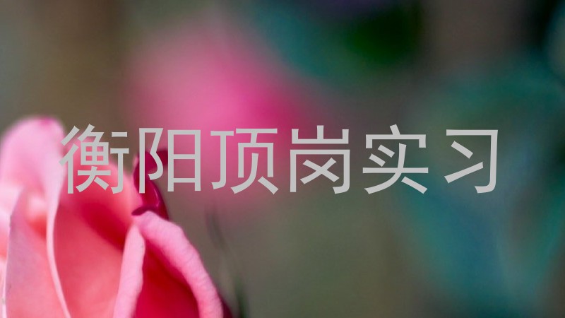 衡阳顶岗实习