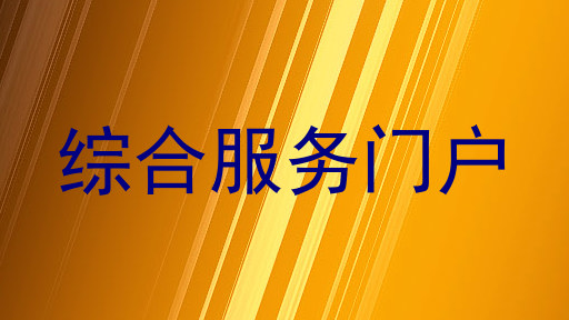 综合服务门户