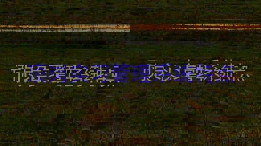 顶岗实习管理系统特点