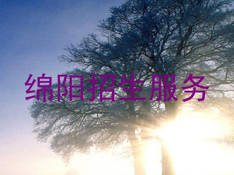 绵阳招生服务