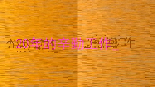 20年的辛勤工作_