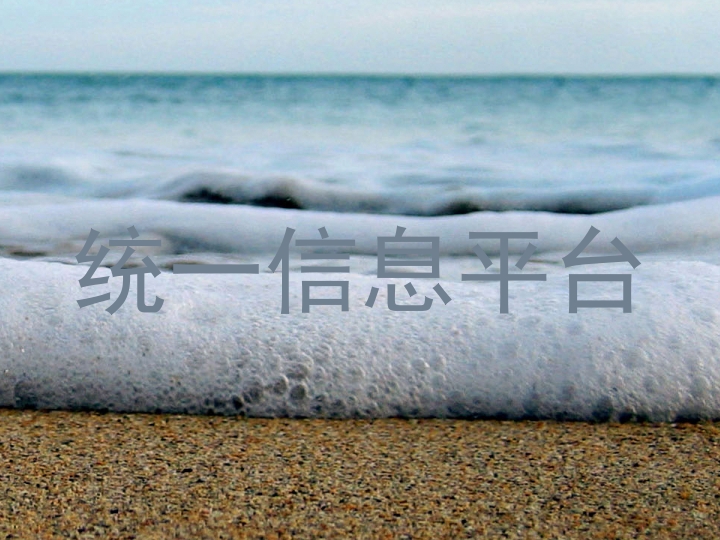 统一信息平台