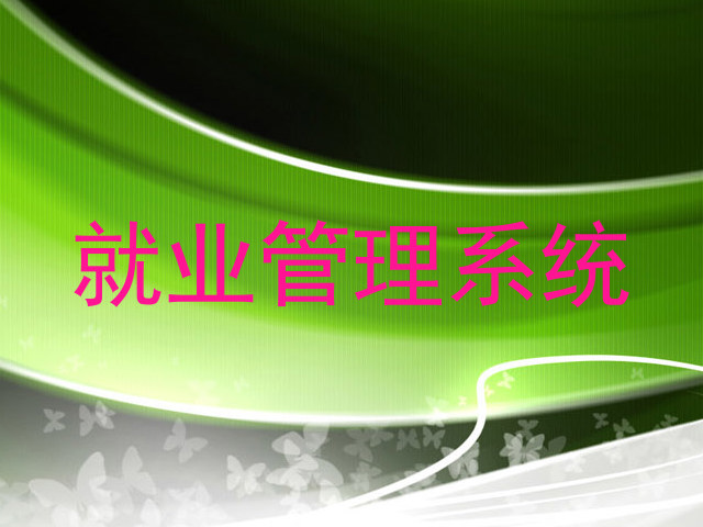 就业管理系统