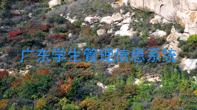 广东学生管理信息系统