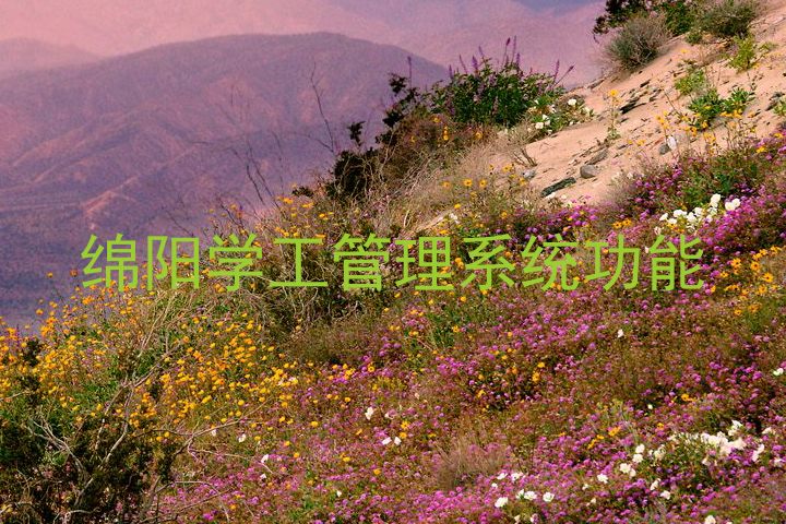 绵阳学工管理系统功能