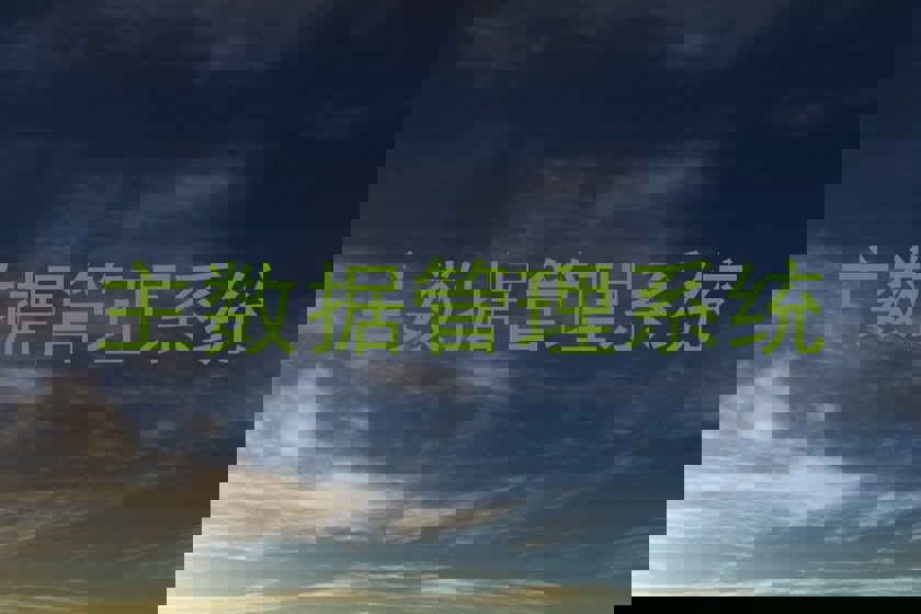 主数据管理系统