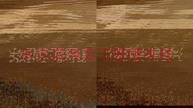 长沙顶岗实习管理系统