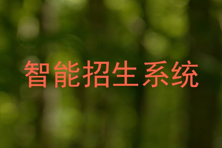 智能招生系统