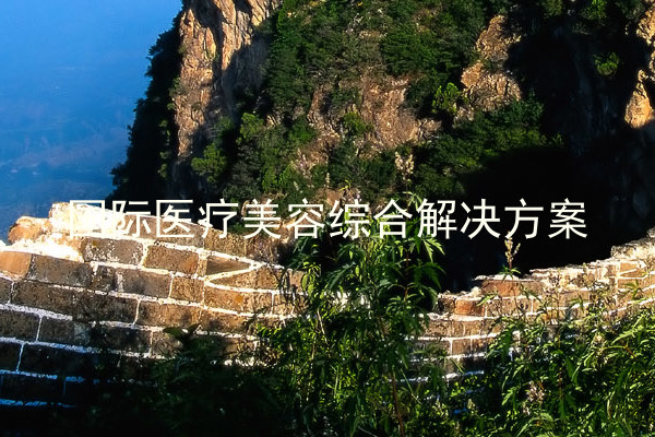 国际医疗美容综合解决方案