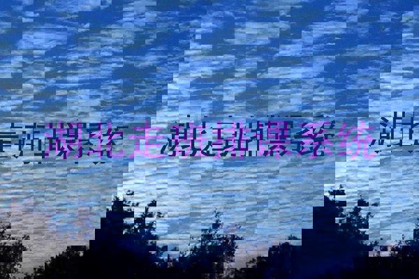 湖北走班排课系统