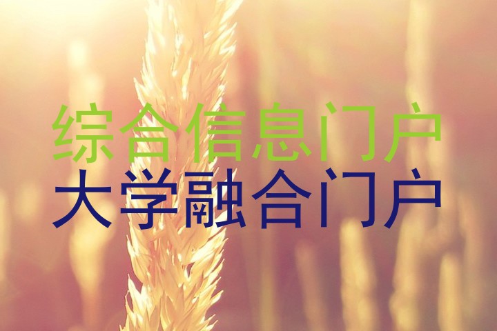 综合信息门户|大学融合门户
