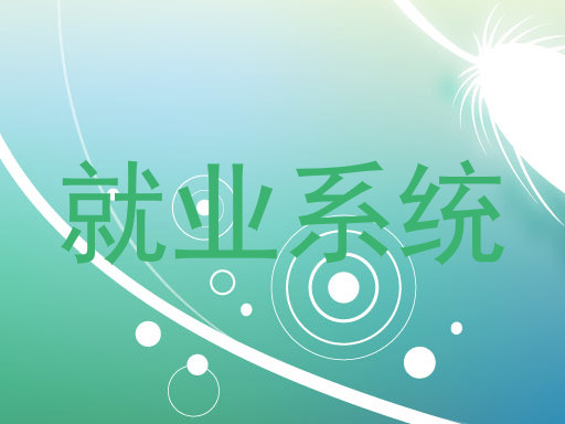 就业系统