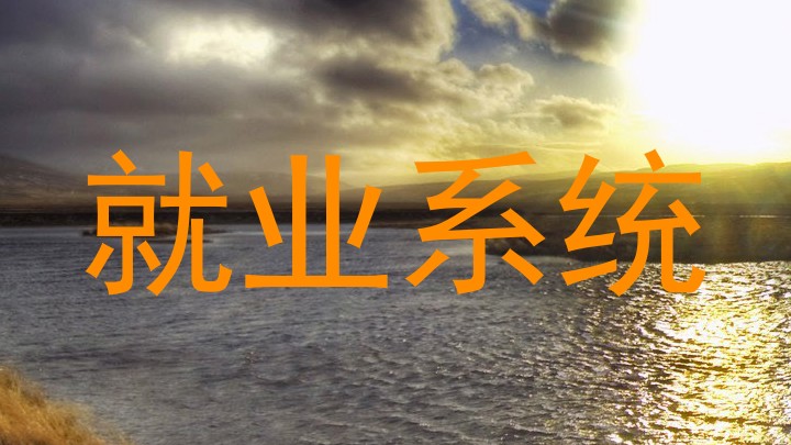 就业系统