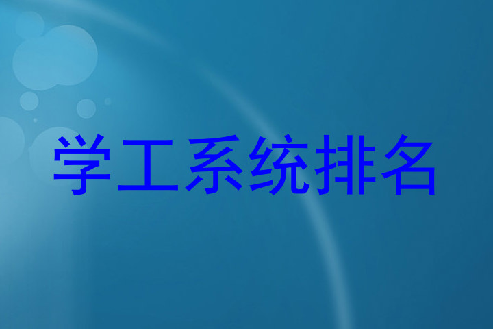 学工系统排名