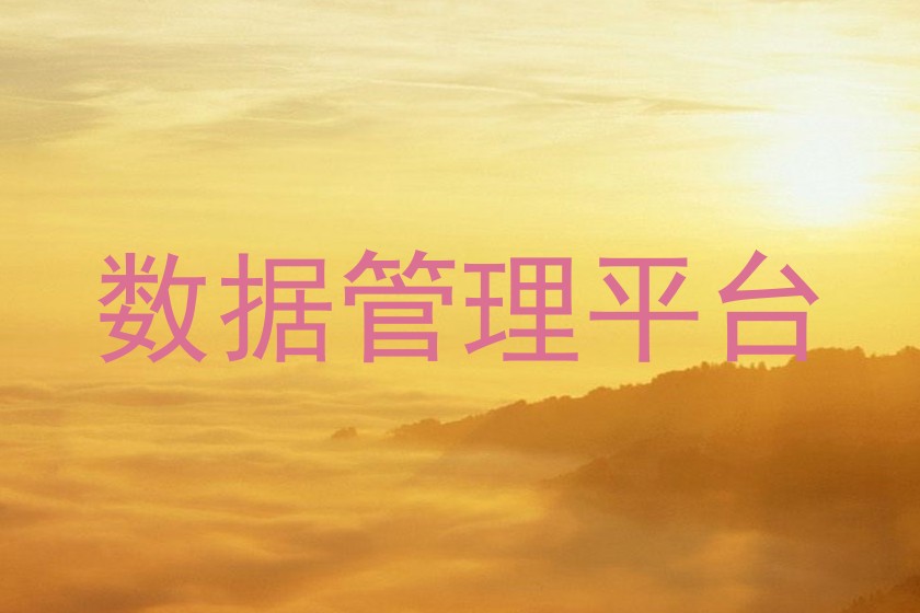 数据管理平台
