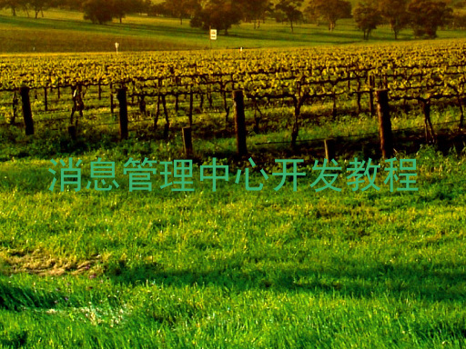 消息管理中心开发教程