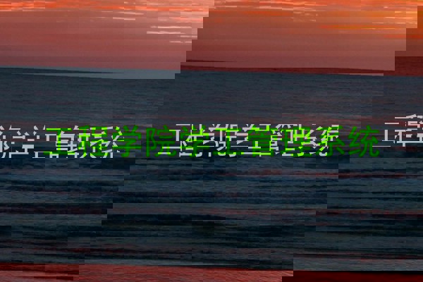 工程学院学工管理系统