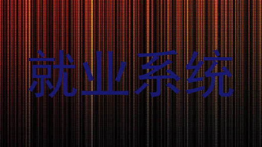 就业系统