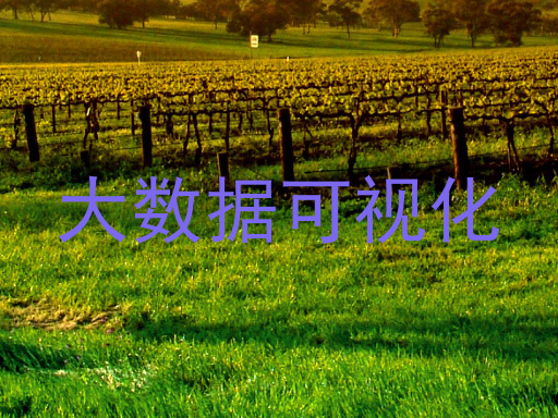 大数据可视化
