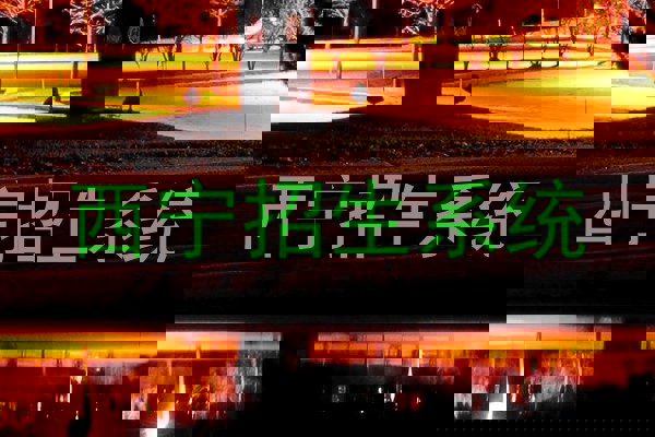 西宁招生系统