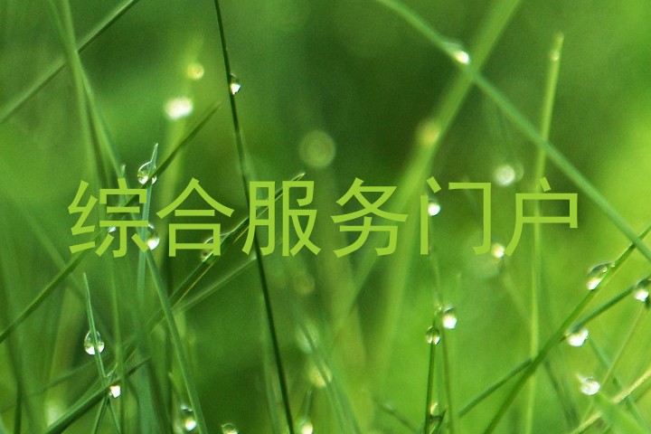 综合服务门户