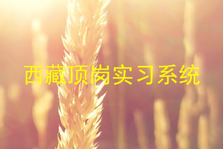 西藏顶岗实习系统