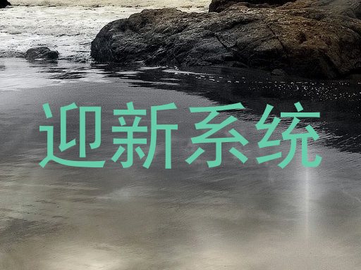 迎新系统