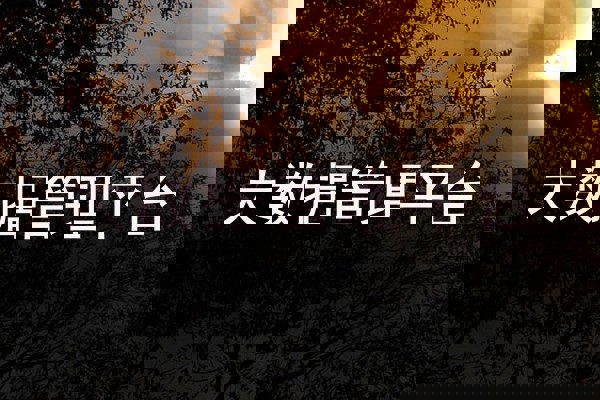 大数据管理平台