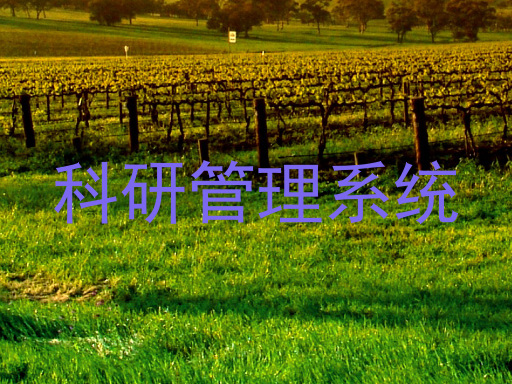 科研管理系统