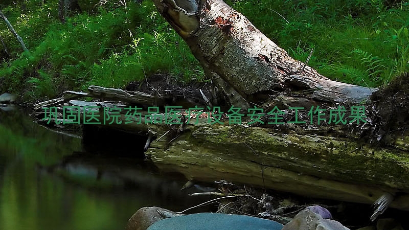 巩固医院药品医疗设备安全工作成果