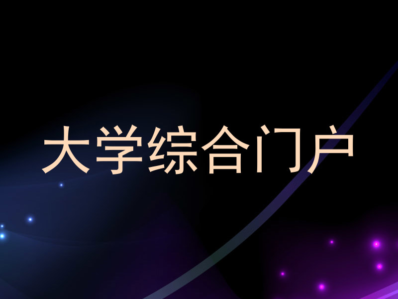 大学综合门户