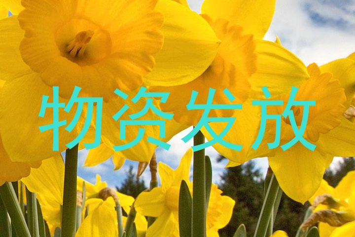 物资发放