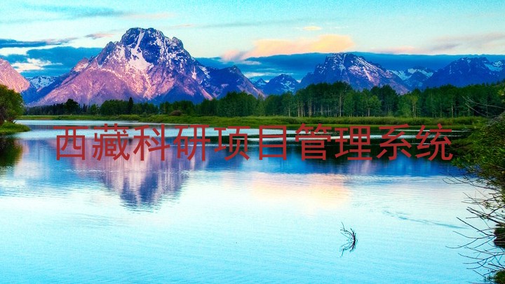 西藏科研项目管理系统