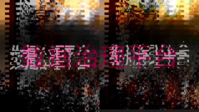 数据治理平台
