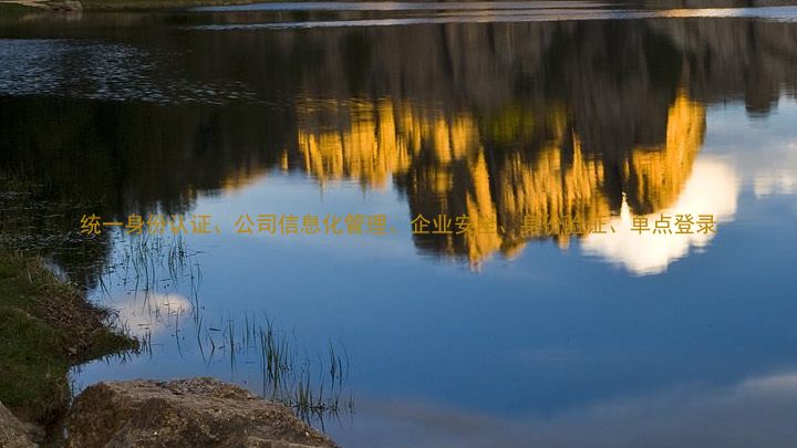 统一身份认证、公司信息化管理、企业安全、身份验证、单点登录