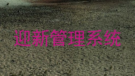迎新管理系统