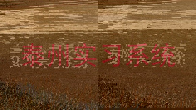 泰州实习系统