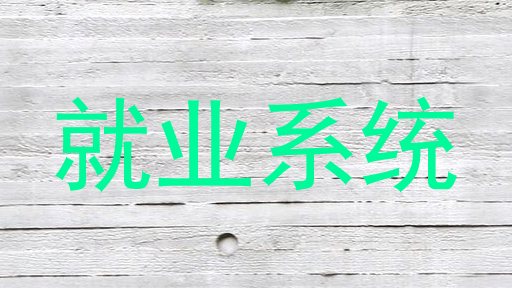 就业系统