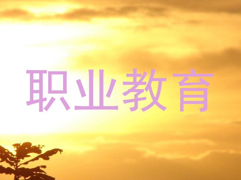 职业教育