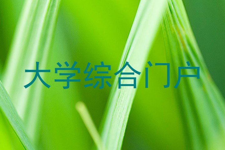 大学综合门户