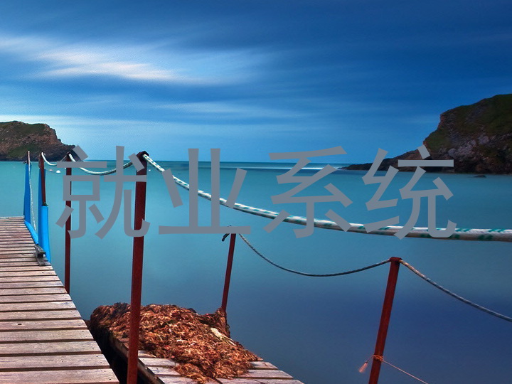 就业系统