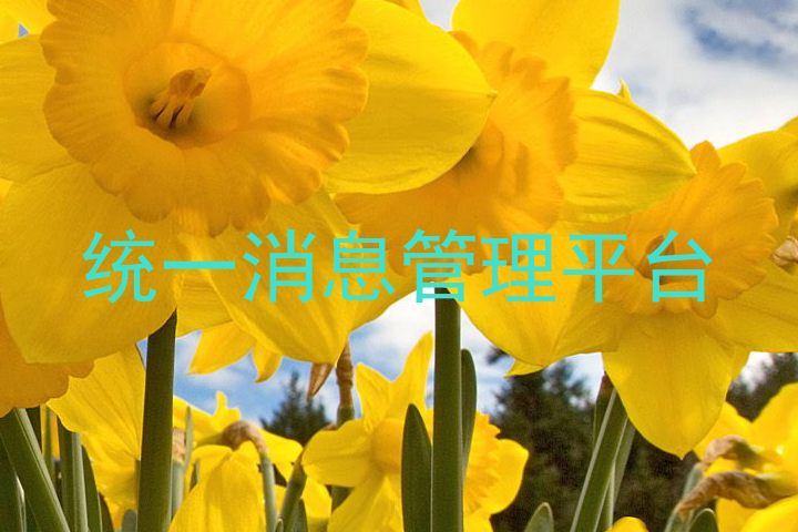 统一消息管理平台