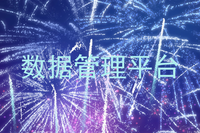 数据管理平台