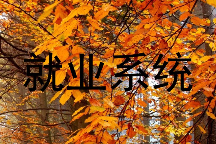 就业系统