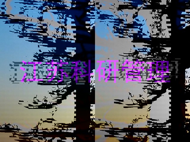 江苏科研管理
