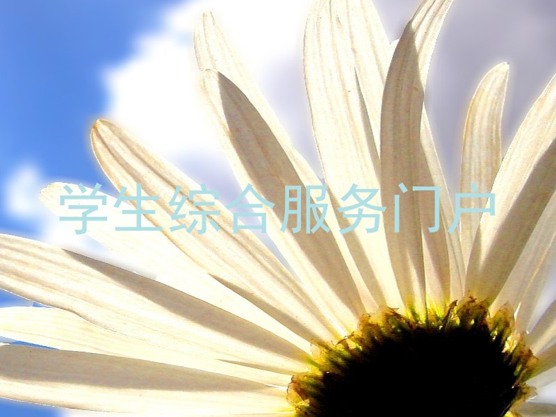 学生综合服务门户